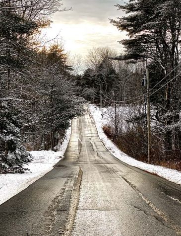 photo of ontario highway with trees on either side